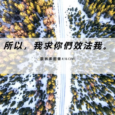 Picture 06 - 歌 林 多 前 書 4:16 CUVT - 所 以 ， 我 求 你 們 效 法 我 - Bible Verse Picture