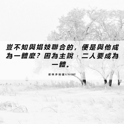 Picture 06 - 歌 林 多 前 書 6:16 CUVT - 豈 不 知 與 娼 妓 聯 合 的 ， 便 是 - Bible Verse Picture