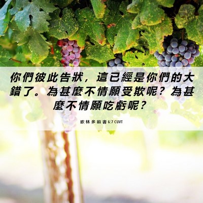 Picture 06 - 歌 林 多 前 書 6:7 CUVT - 你 們 彼 此 告 狀 ， 這 已 經 是 你 - Bible Verse Picture