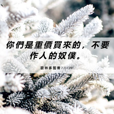 Picture 06 - 歌 林 多 前 書 7:23 CUVT - 你 們 是 重 價 買 來 的 ， 不 要 作 - Bible Verse Picture