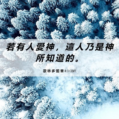 Picture 06 - 歌 林 多 前 書 8:3 CUVT - 若 有 人 愛 神 ， 這 人 乃 是 神 所 - Bible Verse Picture