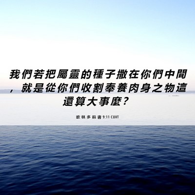 Picture 06 - 歌 林 多 前 書 9:11 CUVT - 我 們 若 把 屬 靈 的 種 子 撒 在 你 - Bible Verse Picture