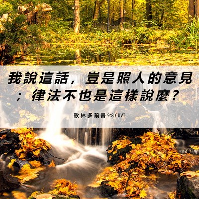 Picture 06 - 歌 林 多 前 書 9:8 CUVT - 我 說 這 話 ， 豈 是 照 人 的 意 見 - Bible Verse Picture