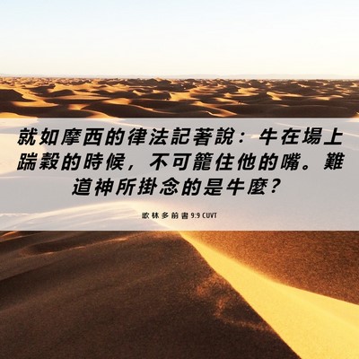 Picture 06 - 歌 林 多 前 書 9:9 CUVT - 就 如 摩 西 的 律 法 記 著 說 ： 牛 - Bible Verse Picture