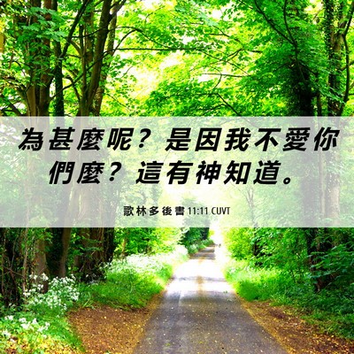 Picture 06 - 歌 林 多 後 書 11:11 CUVT - 為 甚 麼 呢 ？ 是 因 我 不 愛 你 們 - Bible Verse Picture