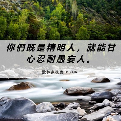 Picture 06 - 歌 林 多 後 書 11:19 CUVT - 你 們 既 是 精 明 人 ， 就 能 甘 心 - Bible Verse Picture