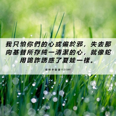Picture 06 - 歌 林 多 後 書 11:3 CUVT - 我 只 怕 你 們 的 心 或 偏 於 邪 ， - Bible Verse Picture