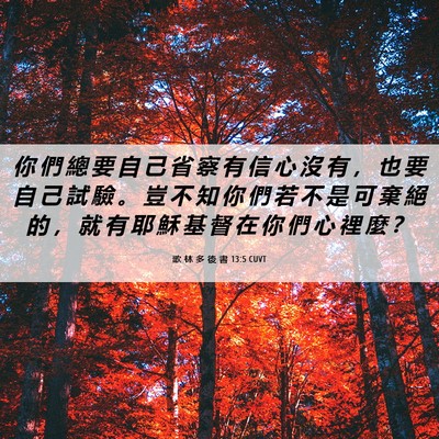 Picture 06 - 歌 林 多 後 書 13:5 CUVT - 你 們 總 要 自 己 省 察 有 信 心 沒 - Bible Verse Picture