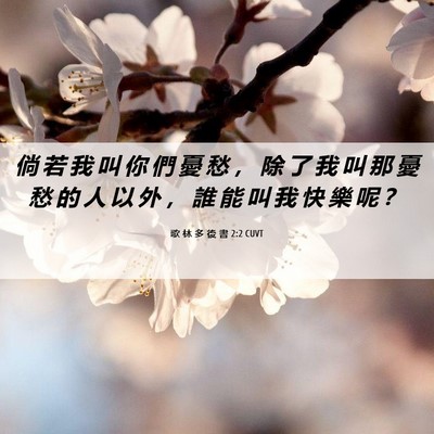 Picture 06 - 歌 林 多 後 書 2:2 CUVT - 倘 若 我 叫 你 們 憂 愁 ， 除 了 我 - Bible Verse Picture