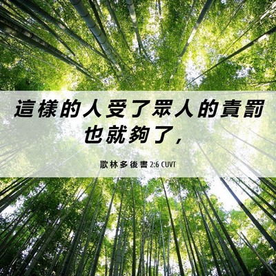 Picture 06 - 歌 林 多 後 書 2:6 CUVT - 這 樣 的 人 受 了 眾 人 的 責 罰 也 - Bible Verse Picture