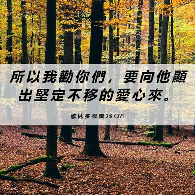 Picture 06 - 歌 林 多 後 書 2:8 CUVT - 所 以 我 勸 你 們 ， 要 向 他 顯 出 - Bible Verse Picture
