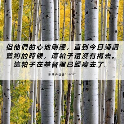 Picture 06 - 歌 林 多 後 書 3:14 CUVT - 但 他 們 的 心 地 剛 硬 ， 直 到 今 - Bible Verse Picture