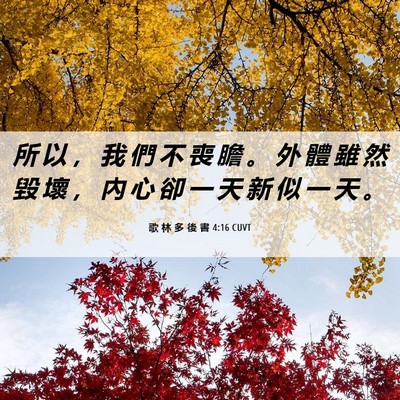 Picture 06 - 歌 林 多 後 書 4:16 CUVT - 所 以 ， 我 們 不 喪 膽 。 外 體 雖 - Bible Verse Picture