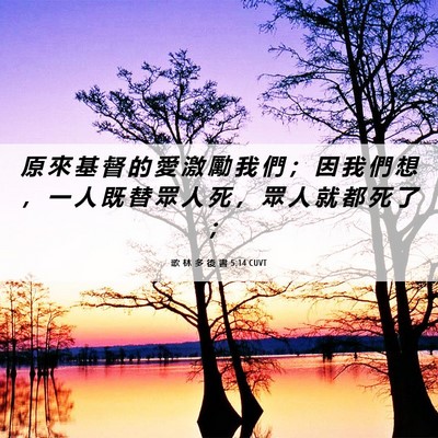 Picture 06 - 歌 林 多 後 書 5:14 CUVT - 原 來 基 督 的 愛 激 勵 我 們 ； 因 - Bible Verse Picture