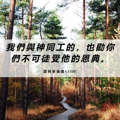 Picture 06 - 歌 林 多 後 書 6:1 CUVT - 我 們 與 神 同 工 的 ， 也 勸 你 們 - Bible Verse Picture