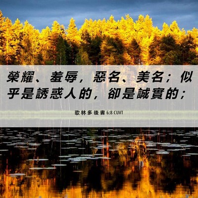 Picture 06 - 歌 林 多 後 書 6:8 CUVT - 榮 耀 、 羞 辱 ， 惡 名 、 美 名 ； - Bible Verse Picture