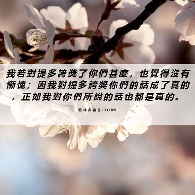 Picture 06 - 歌 林 多 後 書 7:14 CUVT - 我 若 對 提 多 誇 獎 了 你 們 甚 麼 - Bible Verse Picture