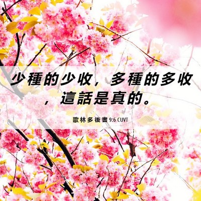 Picture 06 - 歌 林 多 後 書 9:6 CUVT - 少 種 的 少 收 ， 多 種 的 多 收 ， - Bible Verse Picture
