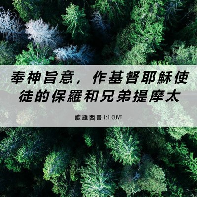 Picture 06 - 歌 羅 西 書 1:1 CUVT - 奉 神 旨 意 ， 作 基 督 耶 穌 使 徒 - Bible Verse Picture