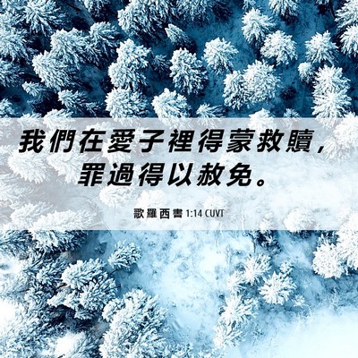 Picture 06 - 歌 羅 西 書 1:14 CUVT - 我 們 在 愛 子 裡 得 蒙 救 贖 ， 罪 - Bible Verse Picture