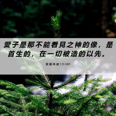 Picture 06 - 歌 羅 西 書 1:15 CUVT - 愛 子 是 那 不 能 看 見 之 神 的 像 - Bible Verse Picture