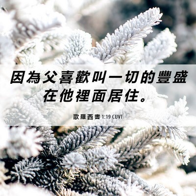 Picture 06 - 歌 羅 西 書 1:19 CUVT - 因 為 父 喜 歡 叫 一 切 的 豐 盛 在 - Bible Verse Picture