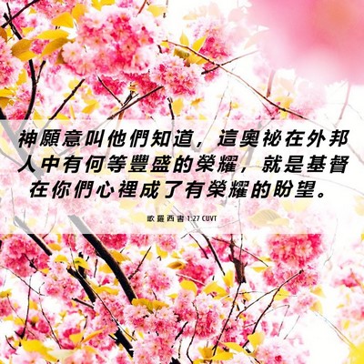Picture 06 - 歌 羅 西 書 1:27 CUVT - 神 願 意 叫 他 們 知 道 ， 這 奧 祕 - Bible Verse Picture