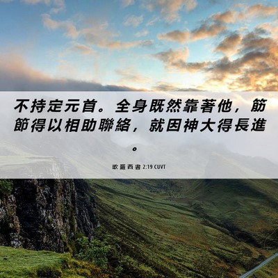 Picture 06 - 歌 羅 西 書 2:19 CUVT - 不 持 定 元 首 。 全 身 既 然 靠 著 - Bible Verse Picture