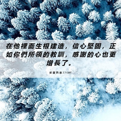 Picture 06 - 歌 羅 西 書 2:7 CUVT - 在 他 裡 面 生 根 建 造 ， 信 心 堅 - Bible Verse Picture