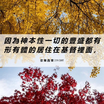 Picture 06 - 歌 羅 西 書 2:9 CUVT - 因 為 神 本 性 一 切 的 豐 盛 都 有 - Bible Verse Picture