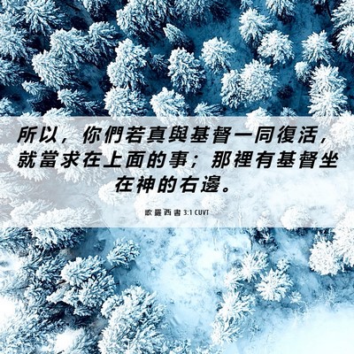 Picture 06 - 歌 羅 西 書 3:1 CUVT - 所 以 ， 你 們 若 真 與 基 督 一 同 - Bible Verse Picture