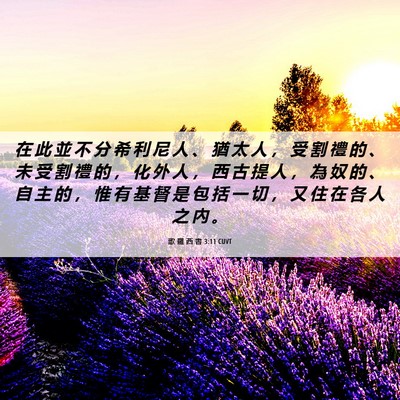 Picture 06 - 歌 羅 西 書 3:11 CUVT - 在 此 並 不 分 希 利 尼 人 、 猶 太 - Bible Verse Picture
