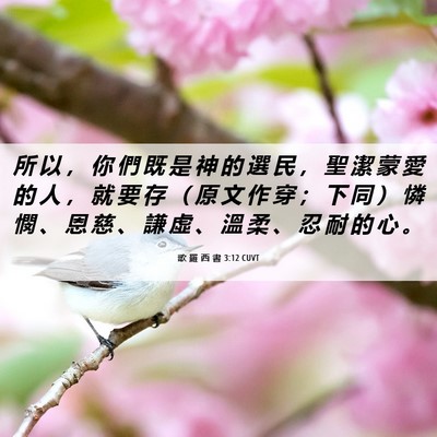 Picture 06 - 歌 羅 西 書 3:12 CUVT - 所 以 ， 你 們 既 是 神 的 選 民 ， - Bible Verse Picture