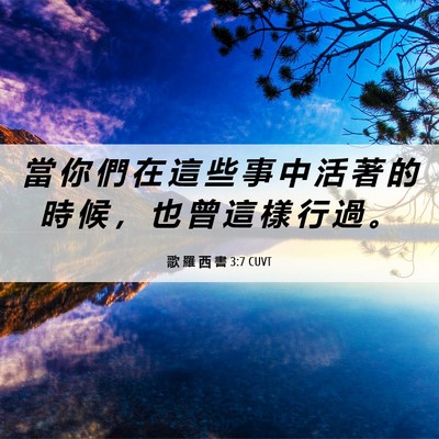 Picture 06 - 歌 羅 西 書 3:7 CUVT - 當 你 們 在 這 些 事 中 活 著 的 時 - Bible Verse Picture
