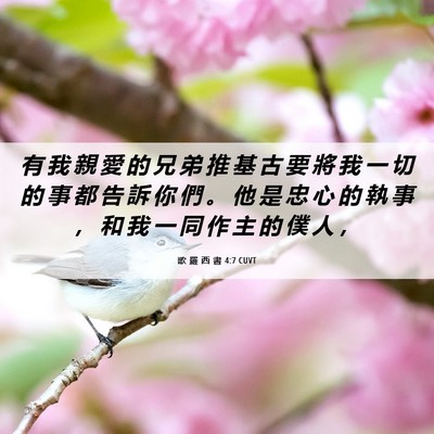 Picture 06 - 歌 羅 西 書 4:7 CUVT - 有 我 親 愛 的 兄 弟 推 基 古 要 將 - Bible Verse Picture
