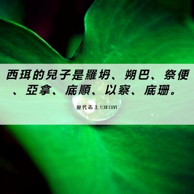 Picture 06 - 歷 代 志 上 1:38 CUVT - 西 珥 的 兒 子 是 羅 坍 、 朔 巴 、 - Bible Verse Picture