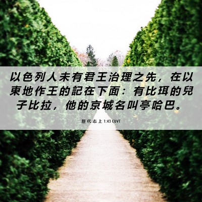 Picture 06 - 歷 代 志 上 1:43 CUVT - 以 色 列 人 未 有 君 王 治 理 之 先 - Bible Verse Picture