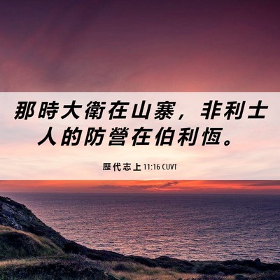 Picture 06 - 歷 代 志 上 11:16 CUVT - 那 時 大 衛 在 山 寨 ， 非 利 士 人 - Bible Verse Picture