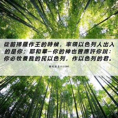 Picture 06 - 歷 代 志 上 11:2 CUVT - 從 前 掃 羅 作 王 的 時 候 ， 率 領 - Bible Verse Picture