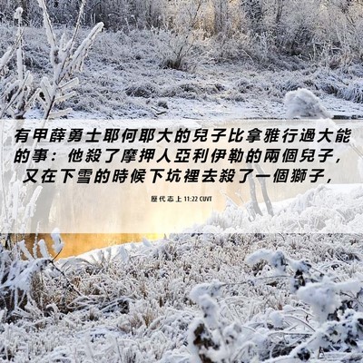 Picture 06 - 歷 代 志 上 11:22 CUVT - 有 甲 薛 勇 士 耶 何 耶 大 的 兒 子 - Bible Verse Picture