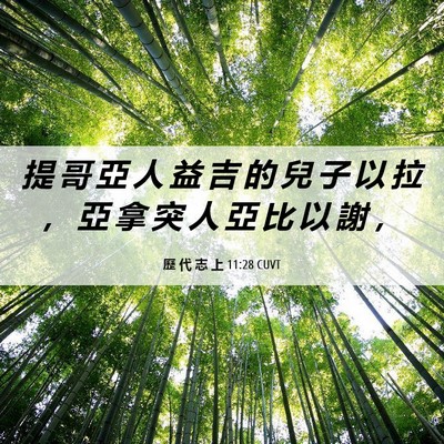 Picture 06 - 歷 代 志 上 11:28 CUVT - 提 哥 亞 人 益 吉 的 兒 子 以 拉 ， - Bible Verse Picture