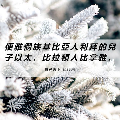 Picture 06 - 歷 代 志 上 11:31 CUVT - 便 雅 憫 族 基 比 亞 人 利 拜 的 兒 - Bible Verse Picture