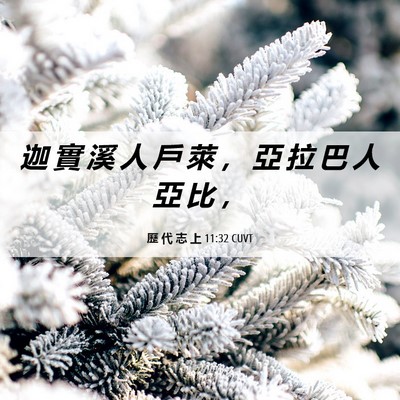 Picture 06 - 歷 代 志 上 11:32 CUVT - 迦 實 溪 人 戶 萊 ， 亞 拉 巴 人 亞 - Bible Verse Picture