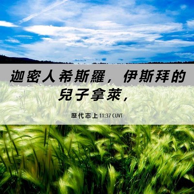 Picture 06 - 歷 代 志 上 11:37 CUVT - 迦 密 人 希 斯 羅 ， 伊 斯 拜 的 兒 - Bible Verse Picture