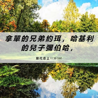 Picture 06 - 歷 代 志 上 11:38 CUVT - 拿 單 的 兄 弟 約 珥 ， 哈 基 利 的 - Bible Verse Picture