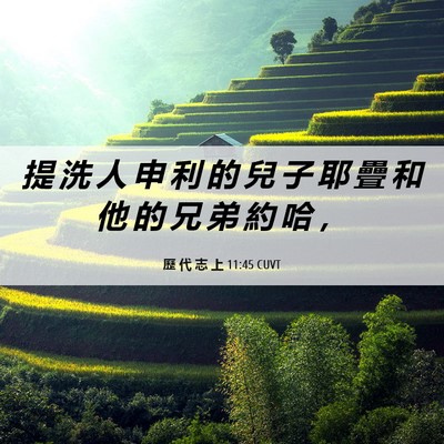 Picture 06 - 歷 代 志 上 11:45 CUVT - 提 洗 人 申 利 的 兒 子 耶 疊 和 他 - Bible Verse Picture