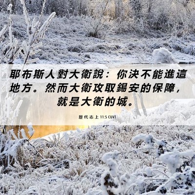 Picture 06 - 歷 代 志 上 11:5 CUVT - 耶 布 斯 人 對 大 衛 說 ： 你 決 不 - Bible Verse Picture
