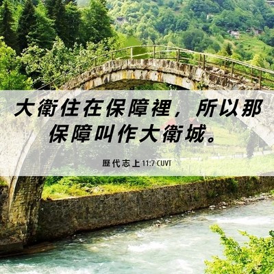 Picture 06 - 歷 代 志 上 11:7 CUVT - 大 衛 住 在 保 障 裡 ， 所 以 那 保 - Bible Verse Picture