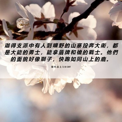 Picture 06 - 歷 代 志 上 12:8 CUVT - 迦 得 支 派 中 有 人 到 曠 野 的 山 - Bible Verse Picture