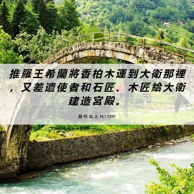 Picture 06 - 歷 代 志 上 14:1 CUVT - 推 羅 王 希 蘭 將 香 柏 木 運 到 大 - Bible Verse Picture